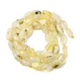 thumbnail image 3 of Natural Gold Prehnite Beads Strands Tumbled Stone 6.5-10x5-7x4-6.5mm Hole: 1mm 46-53pcs/strand 15.16''-15.75''(38.5-40cm), 3 of 5