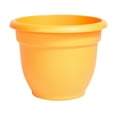 thumbnail image 3 of Bloem Ariana Self Watering Plastic Planter 16" Tequila Sunrise, 3 of 10