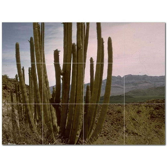 Deserts Npsh Ceramic Tile Mural Kitchen Backsplash Bathroom Shower 404681-S43