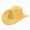 A67-Yellow, variant on Ccpelsie Toddler Cowboy Hat for 2t 3t 4t 5t 6t 7t Kids, Baby Infant for Birthday Parties Boys and Girls Wear(Purple,4-10 Years)