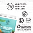 thumbnail image 3 of Sunwarrior Vegan Collagen Protein Powder, Coffee Flavor, 1.1 Lb (20 Servings), 3 of 8