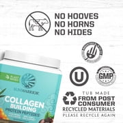 Sunwarrior Vegan Collagen Protein Powder, Coffee Flavor, 1.1 Lb (20 Servings)