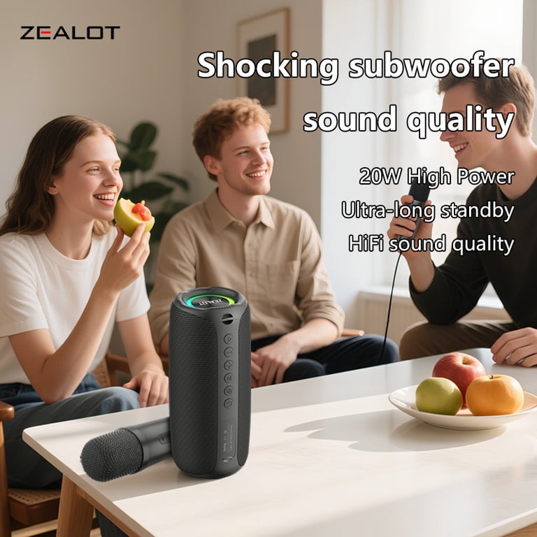 ZEALOT MP2M Portable Bluetooth Speaker, Portable Karaoke Machine