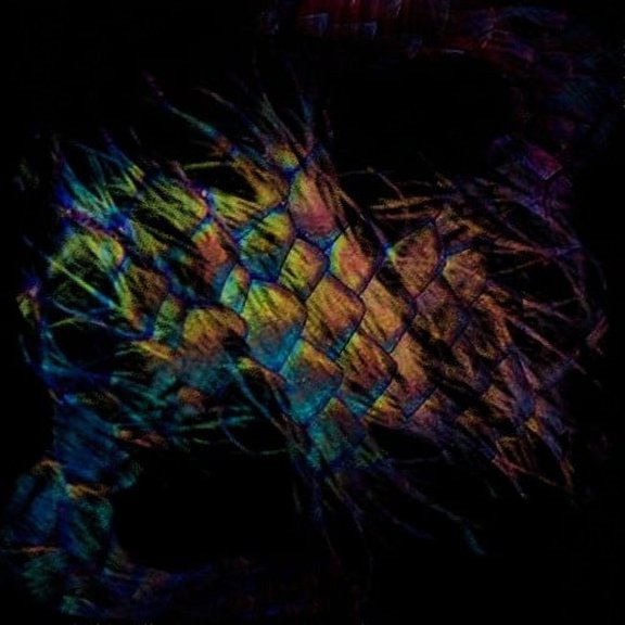 Vaura - Sables - Rock - CD