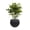 Mediterranean Black, variant on STONE LITE Concrete-look 14.5" x 14.5" x 11.8" Spherical Red Plastic Faux Stone Plant Pot with Drainage Holes