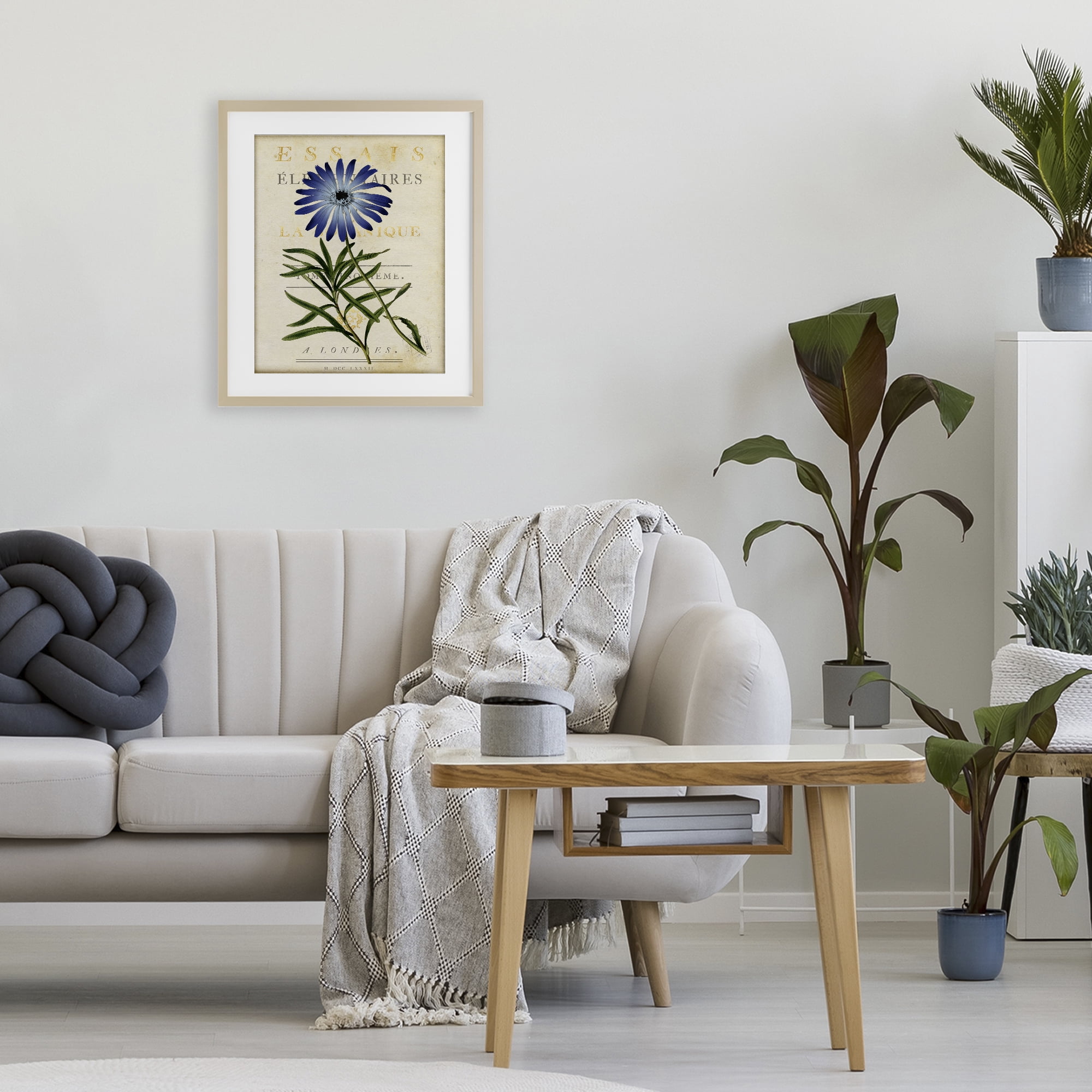 Stupell Industries Natural Botany Daisy Birch Framed Print Under Glass, design by Susan Arnot