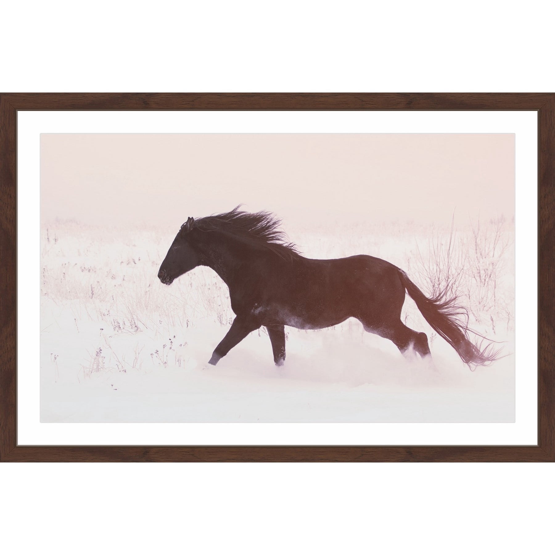 Marmont Hill "Black Beauty Gallops" Framed Painting Print