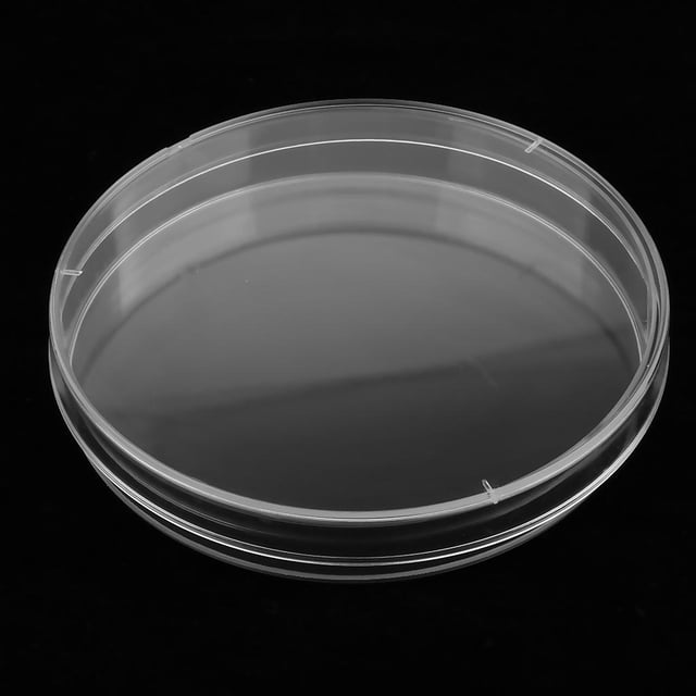 10 Piezas de Placas de Plástico Estéril con Tapa, 60 Mm de Diámetro X 15 Mm de Profundidad Cola Tejido vegetal estéril