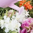 thumbnail image 4 of Hey Play Kids Garden Tools – Child-Sized Gardening Yard Toys, Pink, 4 of 6