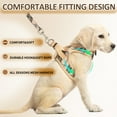 thumbnail image 6 of DMISOCHR Plaid Dog Harness and Leash Set,D-Ring Vest Harness,Anti-Escape,Adjustable Padded Pet Harness for Puppy Small Dogs XS, 6 of 7