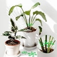 thumbnail image 4 of Juego de enrejado trepador de soporte de plantas - 20 juegos (80 piezas) Clips ajustables para marco de enredadera de flores - 4 tamaños Estacas de jardín para uso en interiores y exteriores, 4 of 7