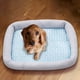 thumbnail image 5 of RKSTN Cat Bed Small and Medium-Sized Dog Four Seasons Mat 50*40*6cm Blue, 5 of 7