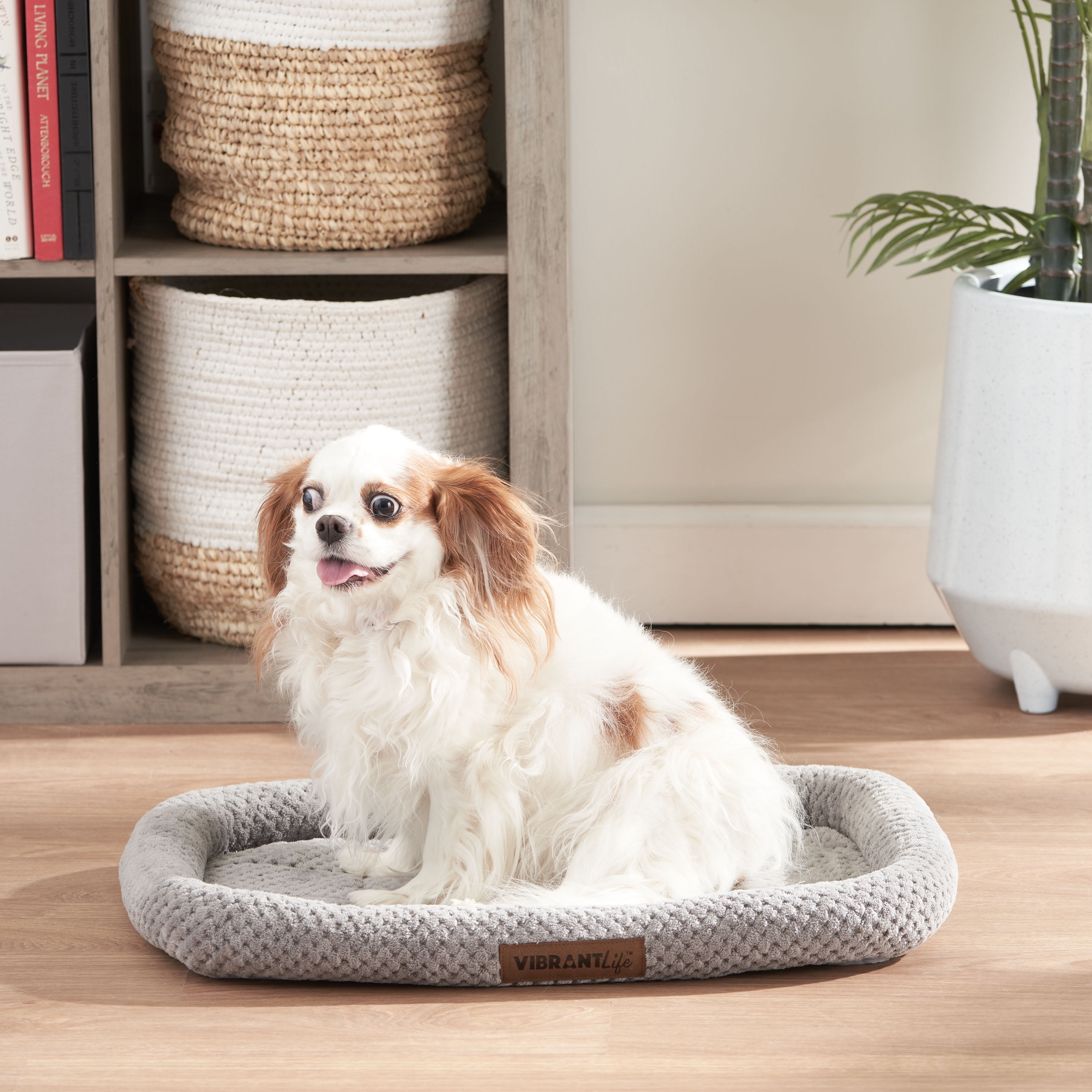 Vibrant Life Large Cozy Luxe Crate Mat Pet Bed Gray Walmart