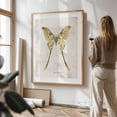 thumbnail image 5 of Butterflies VII - Drawing Nature Vintage Botanical Art Deco Floral Oak Framed Wall Art Print 30 x 40 inches, 5 of 15