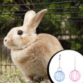 thumbnail image 2 of fastboy 2pcs Hanging Ball Toy Rustproof Reusable Sphere Feed Dispenser Portable Hamster Rabbit Pet Feeder Feeding Balls, 2 of 5