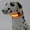 Orange, variant on KIHOUT Multi-Color USB Rechargeable LED Dog Collar 1 Count, TPU Cuttable Size Glow Collar for Dogs, Dog Collar Light for Large Medium Small Dogs Walking at Night 2.5*48cm