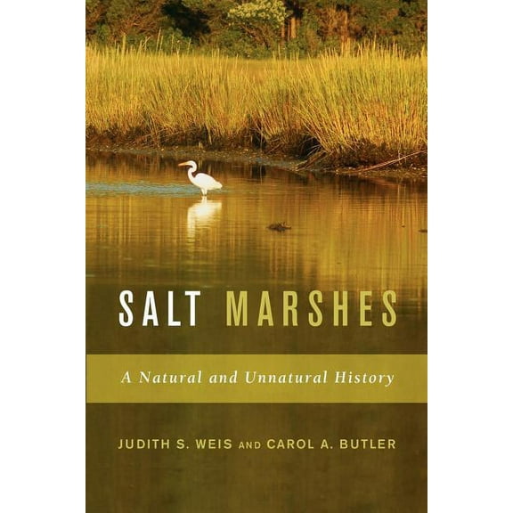 Salt Marshes : A Natural and Unnatural History (Paperback)