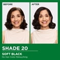 thumbnail image 3 of Garnier Nutrisse Nourishing Hair Color Creme, 020 Soft Black Tea, 3 of 14