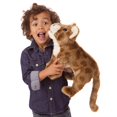 thumbnail image 3 of Folkmanis Lionceau Africain Marionnette en Peluche, 3 of 3