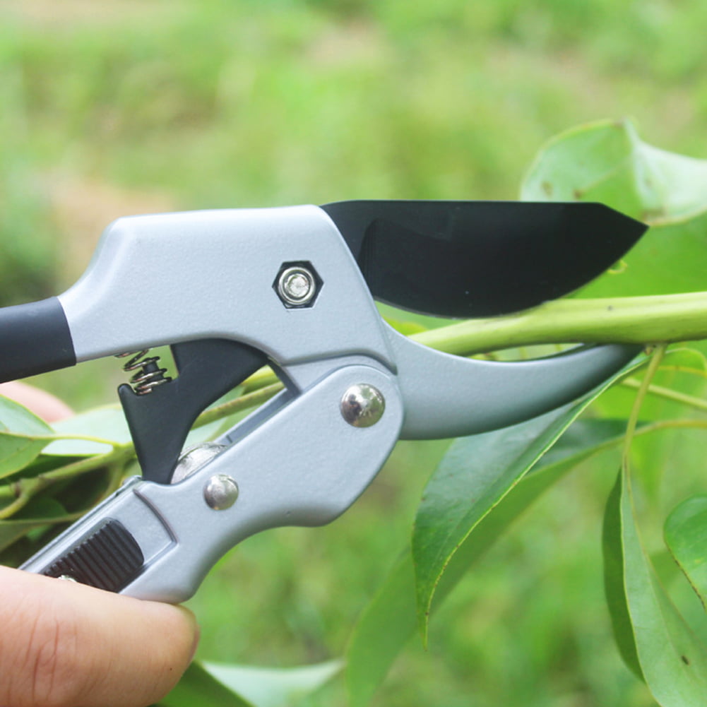 Secateurs Hand Tools Plant Scissor Pruning Shear Branch Trimmer Orchard Garden
