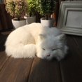 thumbnail image 4 of Simulación de gato, modelo de animal, juguete para gatos, manualidades, decoración para el hogar, accesorios para fotografía, 4 of 4
