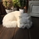 thumbnail image 4 of Simulación De Gato Modelo De Animal Juguete Para Gatos Manualidades Decoración Para El Hogar Accesorios Para Fotografía, 4 of 4