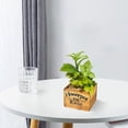 thumbnail image 3 of 2 uds lavabo cuadrado de madera simulación suculenta combinación plantas artificiales en maceta decoración creativa escena de maceta, 3 of 5
