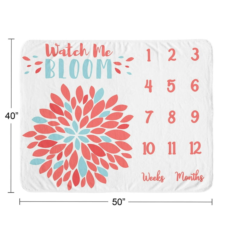 Emma Milestone Baby Blanket by Sweet Jojo Designs Walmart