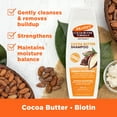 thumbnail image 5 of Palmer's Cocoa Butter Formula + Biotin Length Retention Shampoo for All Curl Patterns, 13.5 fl. oz., 5 of 11