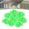 thumbnail image 4 of 100x Bandas Reutilizables de Pájaros, Anillos para Patas de Paloma, Etiquetas de Plástico de Carreras, Herramienta de Identificación de , Verde Salvador Anillos de patas de pájaros, 4 of 9