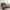 Beige Brown, variant on Erosebridal Rustic Aztec Bedding Sets Twin Size, Woodland Bear Elk Comforter Sets with Sheets, Patchwork Animal Decor, Reversible 7pcs
