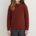 thumbnail image 4 of GigrtiJin Knit Sweaters for Boys Girls Fall Winter Long Sleeve Sweaters Kids Round Neck Pullover Sweaters 0-13 Years, 4 of 5