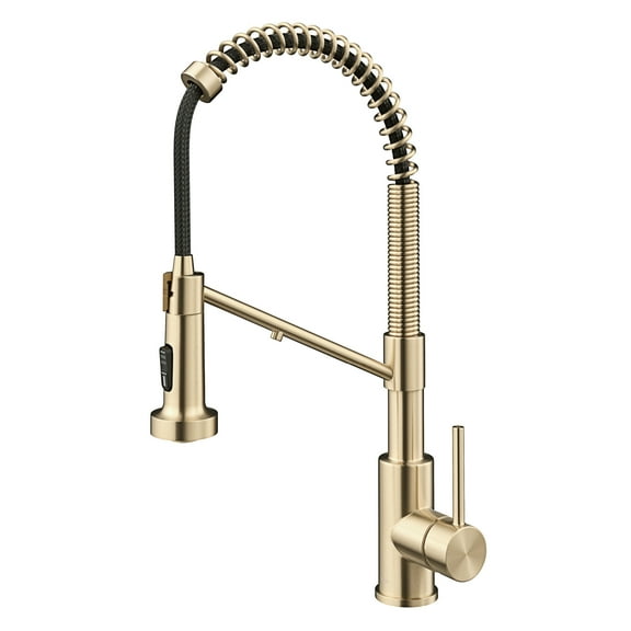 KRAUS Bolden 2-in-1 Commercial Style Pull Down Single Handle Water Filter Kitchen Faucet for Reverse Osmosis or Water Filtration System in Spot-Free Antique Champagne Bronze