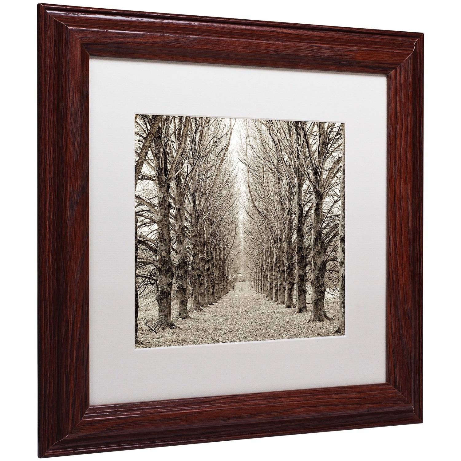 Trademark Fine Art "Hampton Gates Promenade III" Canvas Art by Alan Blaustein, White Matte, Wood Frame