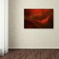 thumbnail image 3 of Heidi Westum 'The Red Valley' Canvas Art, 3 of 3