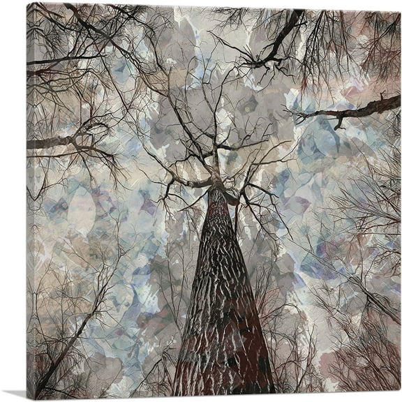 ARTCANVAS Tall Tree Forest Painting Home decor Canvas Art Print - Size: 18" x 18" (0.75" Deep)