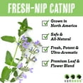 thumbnail image 5 of Van Ness Plastics Pureness Fresh Nip Organic Catnip 1oz, 5 of 5