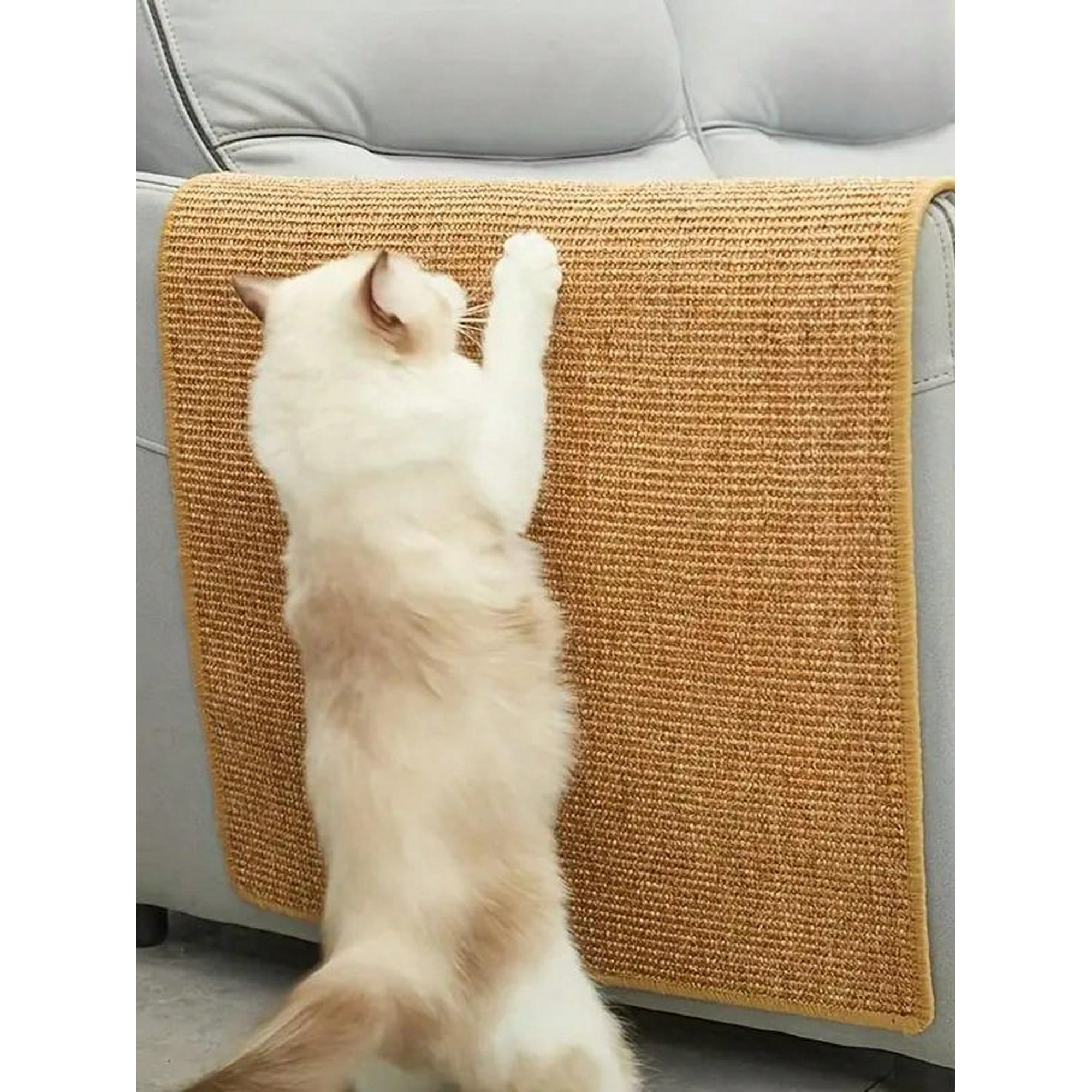 Anti cat sofa deals