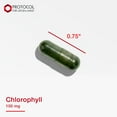 thumbnail image 4 of Protocol For Life Balance - Chlorophyll 100 mg - Internal Freshener Supports Healthy Detoxification, Anti-Aging Properties, Natural Weight Loss Support - 90 Capsules, 4 of 8