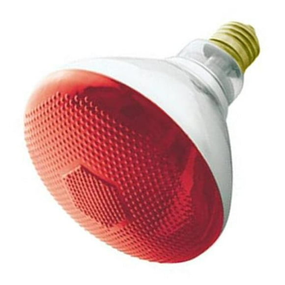 LB International Ampoule de Projecteur Rouge Intérieur/extérieur Incandescente 100 Watts