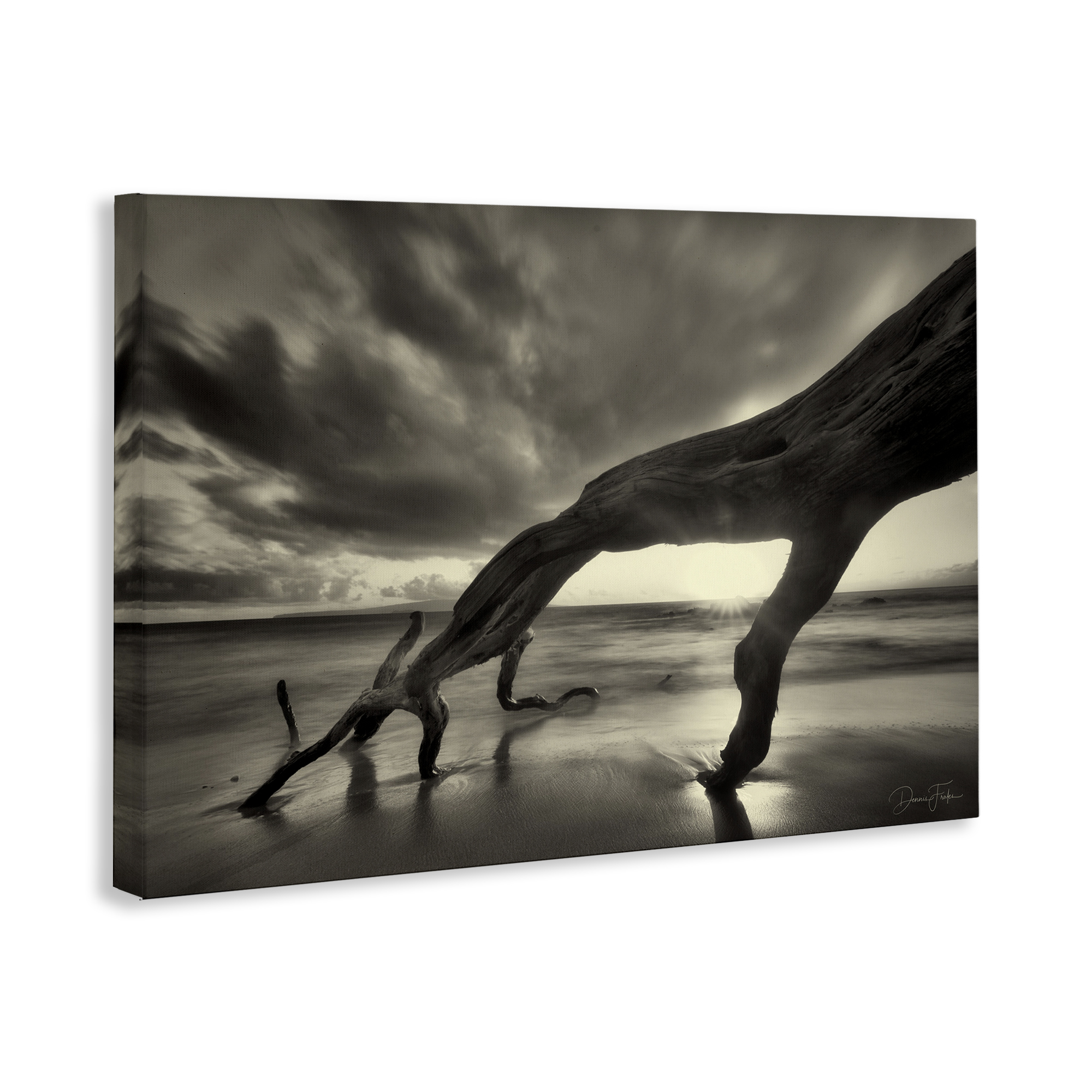 Stupell Industries Tree Trunk on Shore Landscape Photography Gallery Wrapped Canvas Art Print Wall Art, 45 x 30