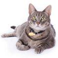 thumbnail image 3 of 2pcs Exquisite Creative Adorable Pet Hanging Tag Pet Engraving Tag for Pet Cat, 3 of 6