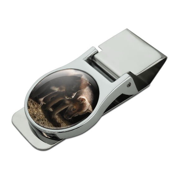 Curious Wolf Pups Wolves Satin Chrome Plated Metal Money Clip