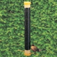 thumbnail image 2 of North States Fun Feeder with Seed, 2 of 2
