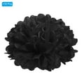 thumbnail image 3 of Uxcell 10" Tissue Pom Poms Paper Flowers Ball Wedding Party Decoration, Black 18 Pack, 3 of 6