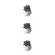 thumbnail image 4 of Ounissouiy Simulación suculenta artificial Bonsai Paisaje de flores falsas para el hogar Type3 NO3, 4 of 6