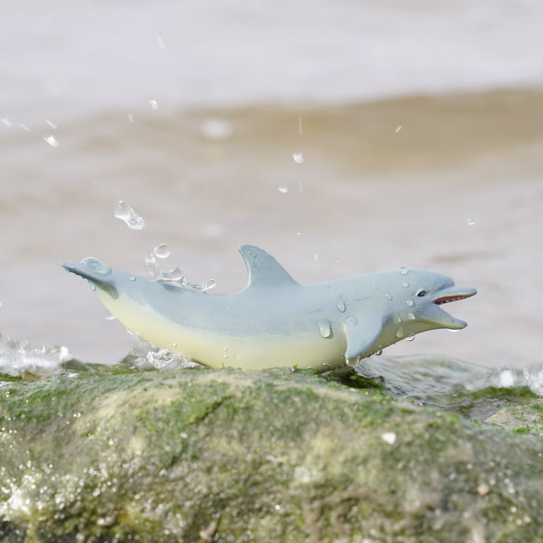 Safari Wild Safari SeaLife (ワイルド サファリ 格好よかっ