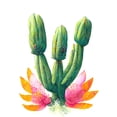 thumbnail image 1 of Colourful Cactus Plant In Flower Painting Large Wall Art Poster Print Thick Paper 18X24 Inch, 1 of 4