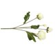 thumbnail image 3 of Toystoory Ramo de flores de peonía artificial de 4 ramas, decoración de simulación, adorno de flores para el hogar y la oficina Flores artificiales blanco Toystoory HA7106-02, 3 of 6