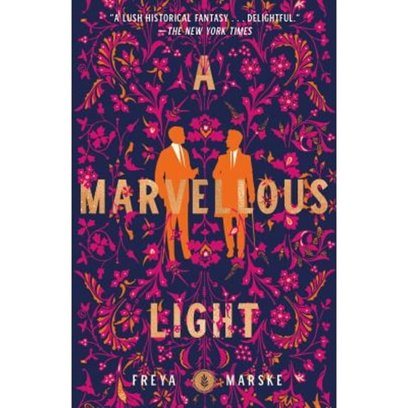 Pre-Owned A Marvellous Light (Paperback) 9781250831798